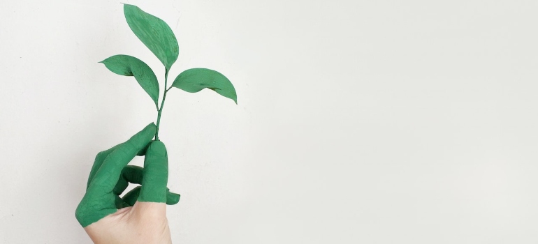 a hand holding a branch as one of the California interior design trends