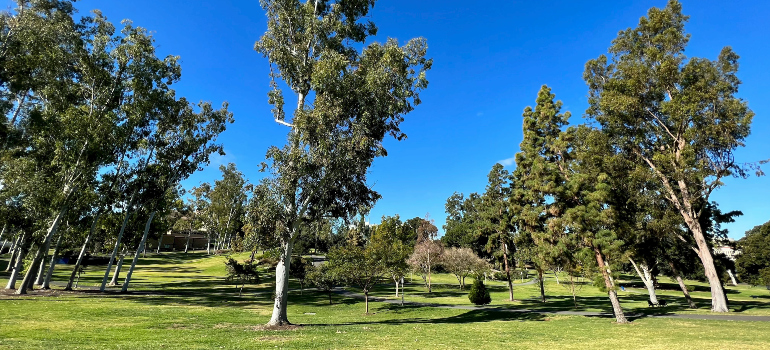 a park people like to visit after moving to Orange County with a toddler