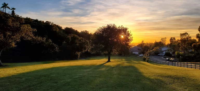 a yard with a fantastic lawn and a tree in Mission Viejo