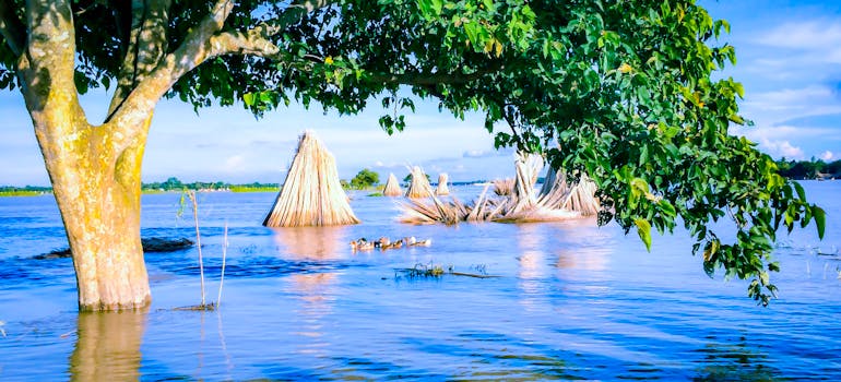 a flooded beach and everything near it