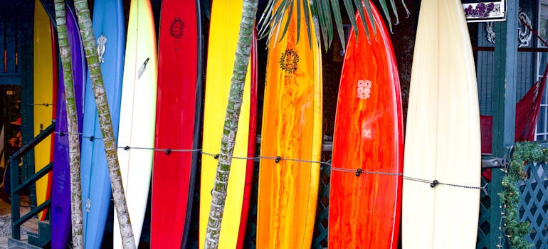 a surf shop selling many colorful boards