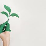 a hand half-painted green, holding a plant