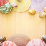 seashells framing the wooden table